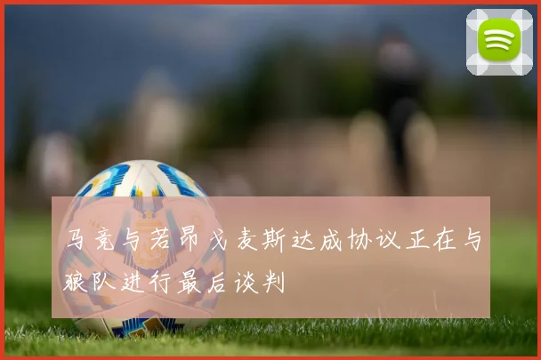 马竞与若昂戈麦斯达成协议正在与狼队进行最后谈判