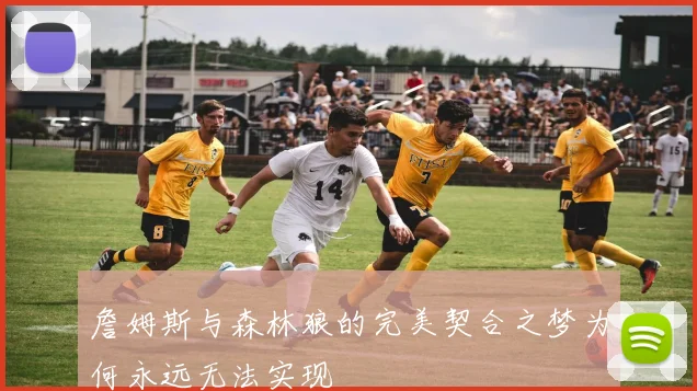 詹姆斯与森林狼的完美契合之梦为何永远无法实现