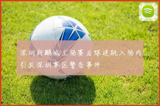深圳新鹏城主场赛后球迷跳入场内引发深圳赛区警告事件